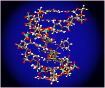 molecule