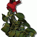 A graphic of mistletoe