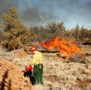 Firefighter extinguishing a fire