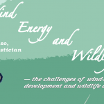 A screenshot of the public lecture flyer. It features a vulture flying across a field of green with the words "Wind Energy and Wildlife - the challenges of wind-energy development and wildlife conservation"