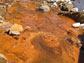 Photo of a metal-rich acid-mine-drainage from a mine near Lake Fork Creek, Colo.