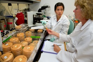 Two CDC scientist working in lab discussing fungal samples