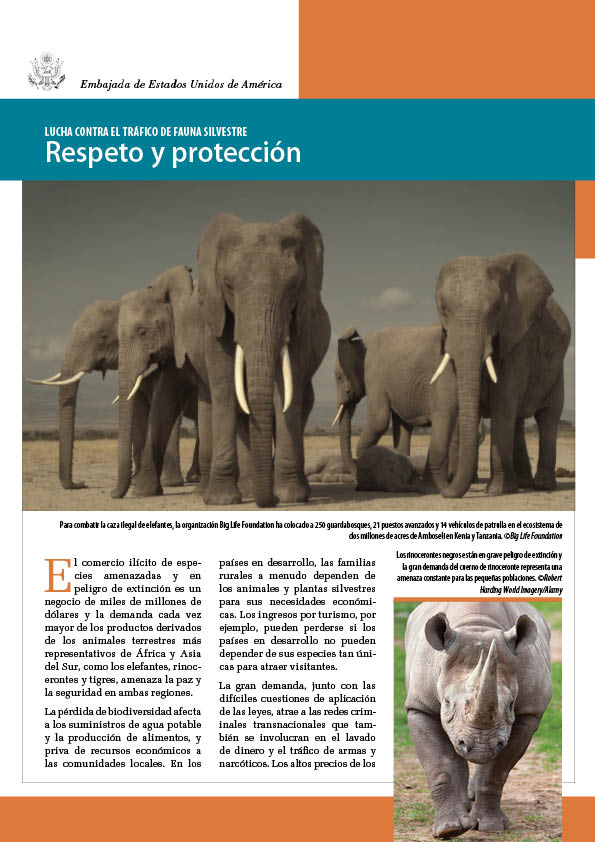 Lucha contra el tráfico de fauna silvestre: Respeto y protección