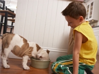 Boy watches his dog eat from a bowl