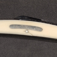 Detail view of a pocket knife.