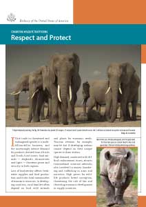 Combating Wildlife Trafficking: Respect and Protect
