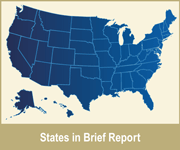 States in Brief Reports