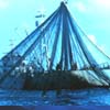 Picture of boat with nets.