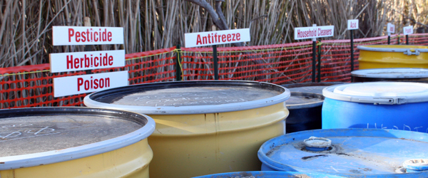 A homeowner delivering a box of used household chemicals to his local hazard waste collection site.