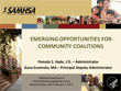 [Cover image of Emerging Opportunities for Community Coalitions]