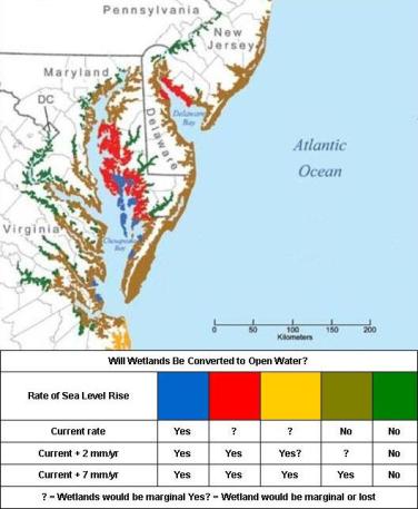 Impact of Sea Level Rise Scenarios on Mid Atlantic Coastal Wetland areas