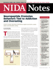 Picture of NIDA Notes Vol. 23 No. 5: Neuropeptide Promotes Behaviors Tied to Addiction and Overeating