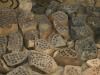 A group photo of some of the rocks used in bit development testing and lifespan testing in 2007