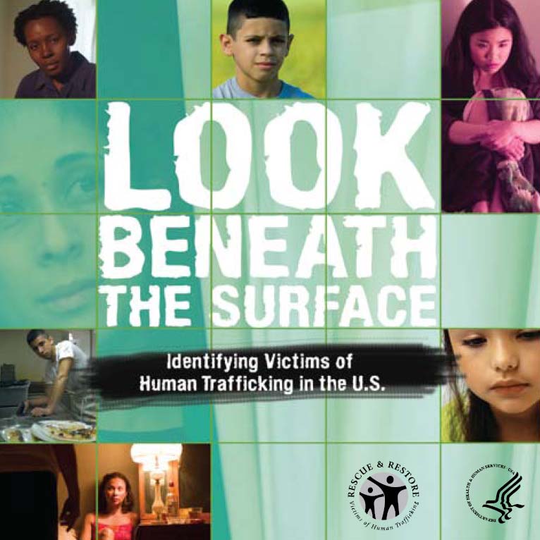 DVD: Look Beneath the Surface (English, Spanish) 