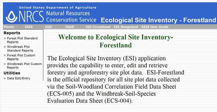 ESI Forest