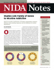 Picture of NIDA Notes Vol. 22, No. 6: Studies Link Family of Genes to Nicotine Addiction