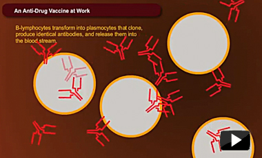 Anti-drug Vaccine Animation