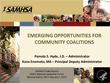 Emerging Opportunities for Community Coalitions