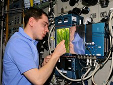Some of the research on the International Space Station is already focusing on meeting the needs of long-term spaceflights beyond low-Earth orbit. During Expedition 29 in 2011, Russian cosmonaut Sergei Volkov checks the progress of new growth in the Rastenia investigation aboard the space station. (NASA)