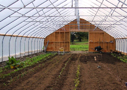 Web image: Photo of the interior of a high tunnel, also known as a hoop house. Click image for full screen view
