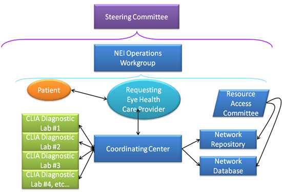 Steering Comittee Chart