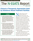 Clinical or Therapeutic Approaches Used by Substance Abuse Treatment Facilities