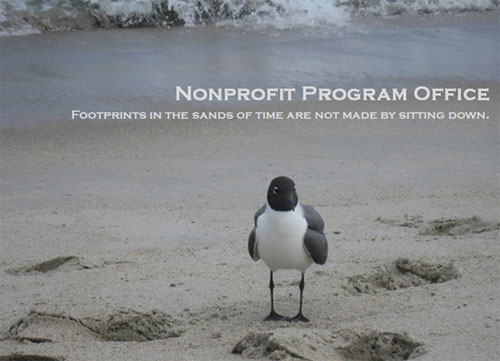 Photo of a seagull standing in sand with text overlay: Nonprofit program office; Footprints in the sands  of time are not made by sitting down
