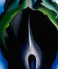 Image: Jack-in-the-Pulpit No. IV, 1930 Alfred Stieglitz Collection, Bequest of Georgia O'Keeffe 1987.58.3