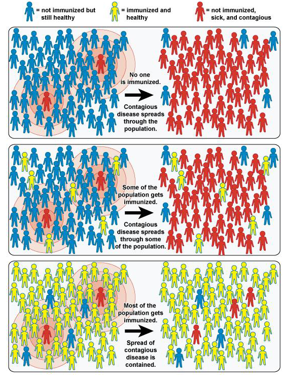 vaccine diagram showing how vaccine prevents illness