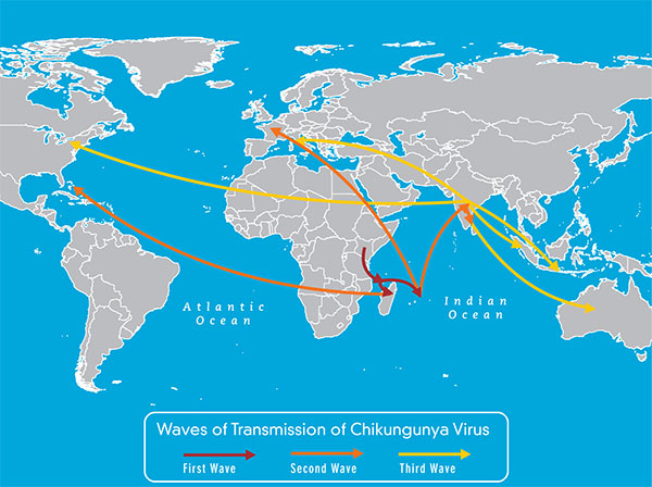 Map 1-1 Global spread of chikungunya virus during 2005–2009