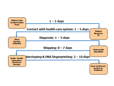 Food Poisoning and Diagnosis takes days. The process starts when the patient eats contaminated food, within 1 – 3 days the patient becomes ill. From there the patient can contact their healthcare system (1-5 days from ingestion) and will be asked to provide a stool sample. Diagnosis of this sample will take 1 – 3 days, if Salmonella is identified the sample is shipped to a Public Health laboratory which takes from 0 – 7 days. At the lab it takes 2 – 10 days to serotype and fingerprint the DNA at which point officials can call the food poisoning case part of a confirmed outbreak.