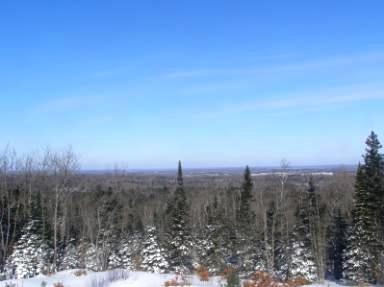 The Boreal Forest on a winter day