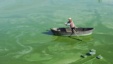 A worker rows a boat in Chaohu Lake, filled with blue-green algae, in Hefei, Anhui province, China, July 23, 2012. 