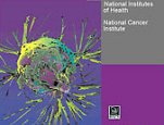 Cell Biology and Cancer curriculum supplement cover