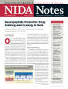 Picture of NIDA Notes Vol. 21, No. 4: Neuropeptide Promotes Drug-Seeking and Craving in Rat