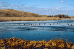 Nebraska WRP project