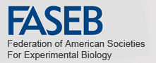 FASEB Logo