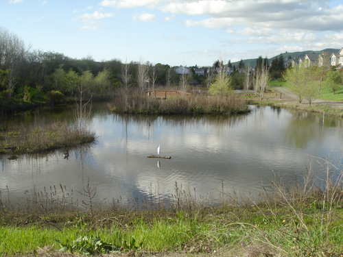 Small, shallow body of water with a single white wading bird perched on a log in the center.