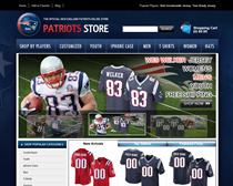 313 websites seized and 23 individuals arrested nationwide for selling counterfeit NFL merchandise