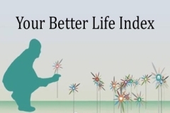 Better Life Index