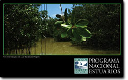Programa Nacional Estuarios booklet cover
