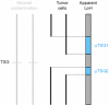 Figure 18.12. A pitfall in interpreting LoH data.