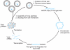 Figure 18.2. Retroviral life cycle.