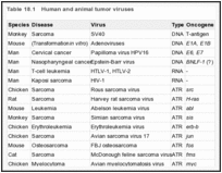 Table 18.1. Human and animal tumor viruses.