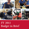 Department of Homeland Security FY 2013 budget proposal. 