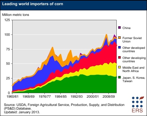 Leading world importers of corn