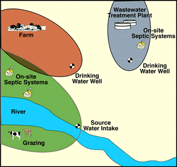 Various Drinking Water Sources