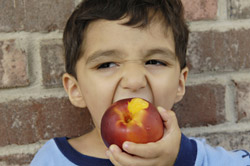 Foto de niño comiendo una fruta