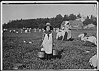 Thumbnail for: Merilda, carrying cranberries. Rochester, Mass., 09/13/1911