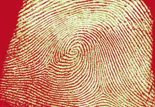 Image of fingerprint. Click for larger image.